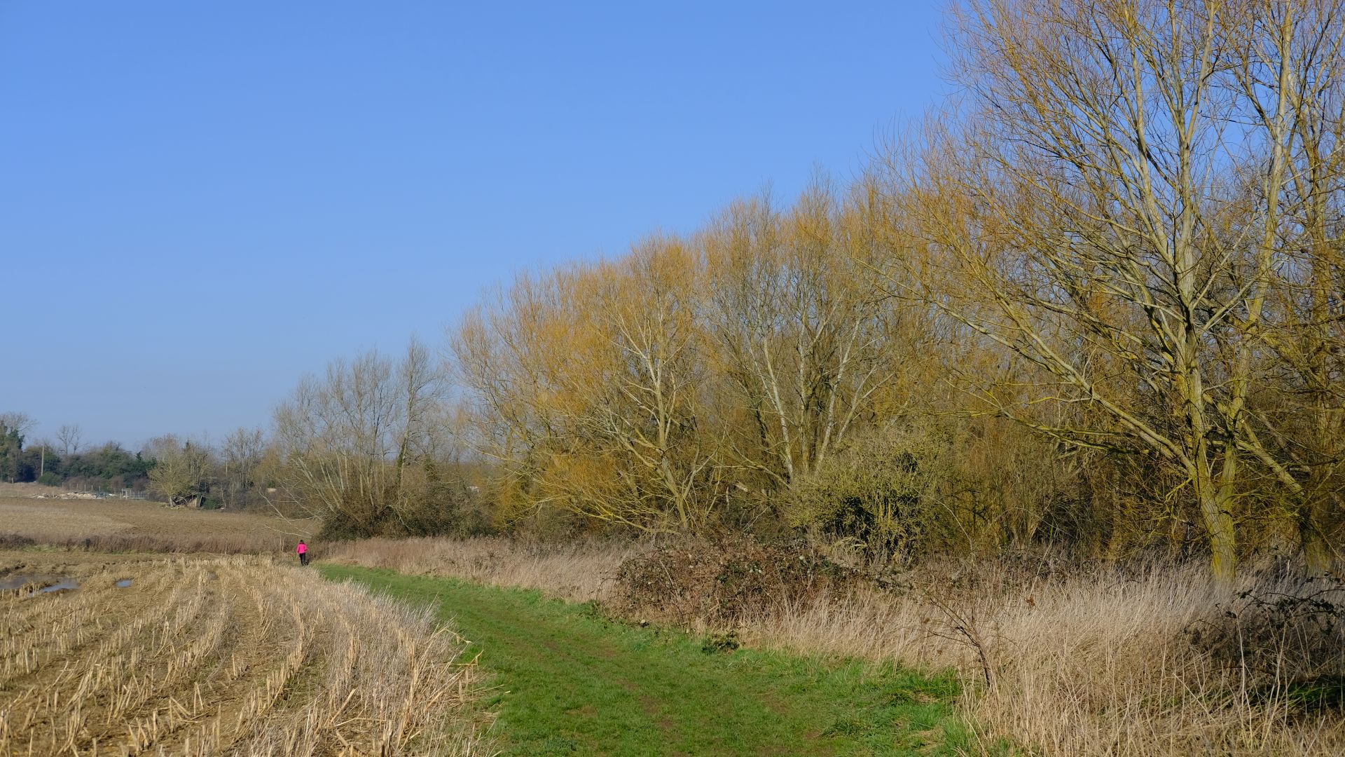 Path near Badsey